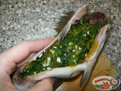 ������ ���������� � ����������