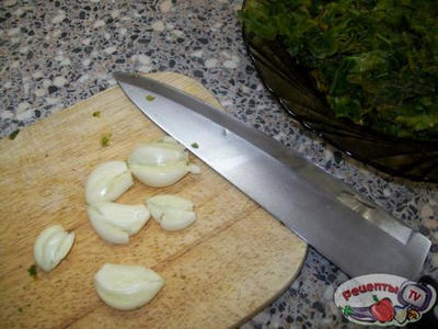 ������ ���������� � ����������