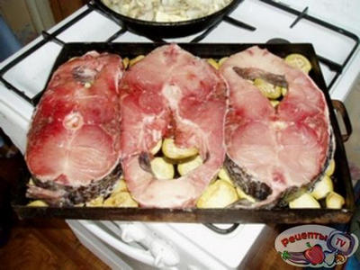 ����������� � �������