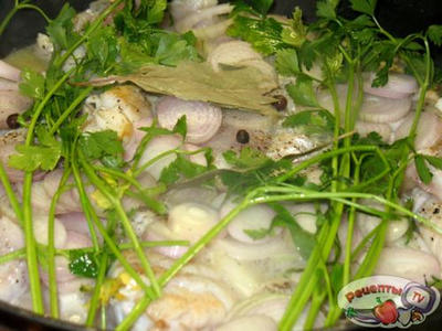 ������-����� � ����� � ��������