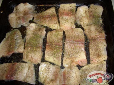 ��������� ����