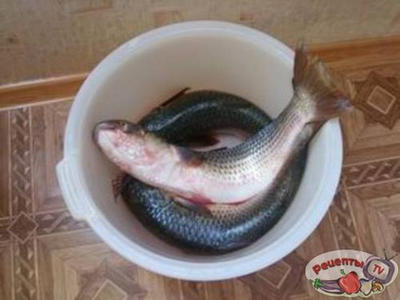 ���������� ���� �������