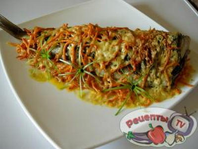 ����������- ���������