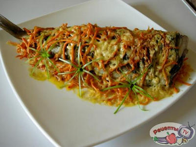 ����������- ���������