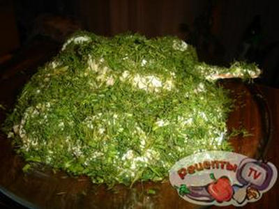 ���� ����������