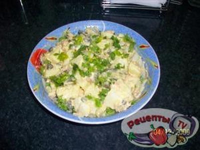 ������������ ����� � ������ � ���������