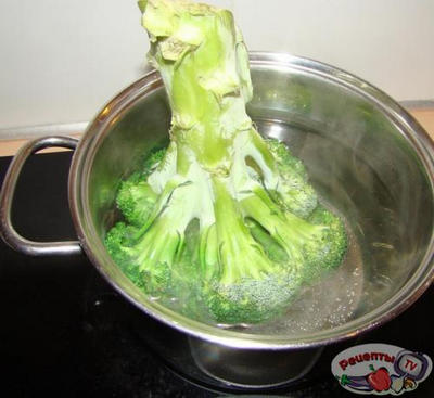 ������������ ����� � �������� � ������