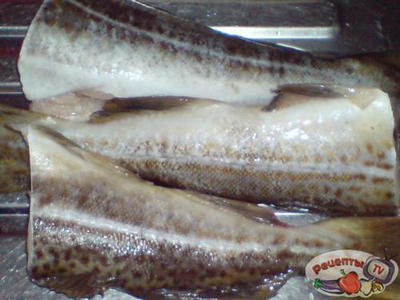 ����� �� �������� ���� �..����������