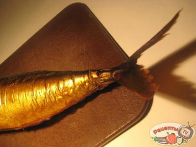 ����� �� �������� � ������������ ������� � ����������.