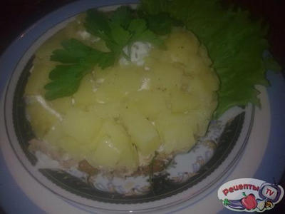 ����� ������������ ������� � ������