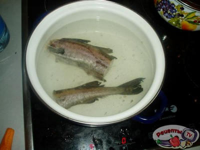 ����� � �������� ����� � ������������� �������