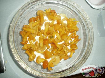 ����� � �������� ����� � ������������� �������