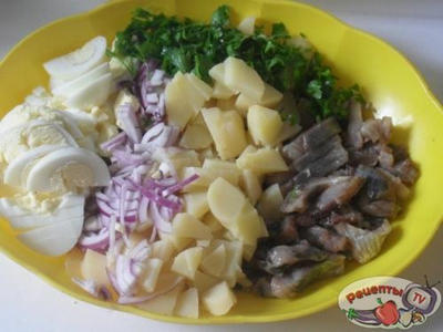 ����� � ������� � ����������