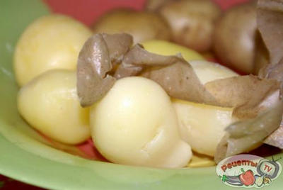 ���������-������������ �����