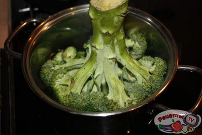 ����� �� �������� &laquo;����&raquo;