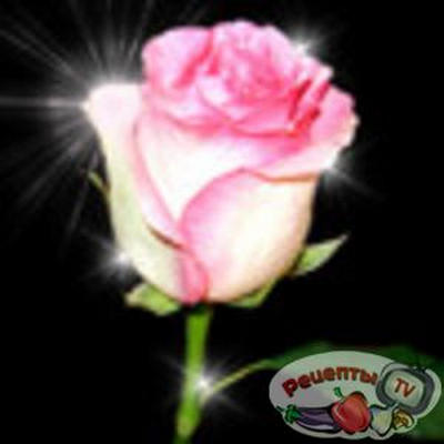 �������, ������� ������ ������� (�������)