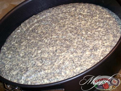 ������� <b />���� 