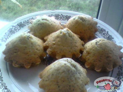 ���� ������-������-������