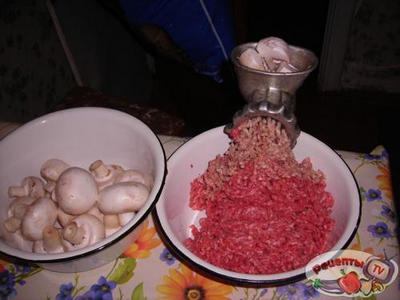 �������� ��������.