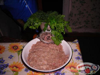 �������� ��������.