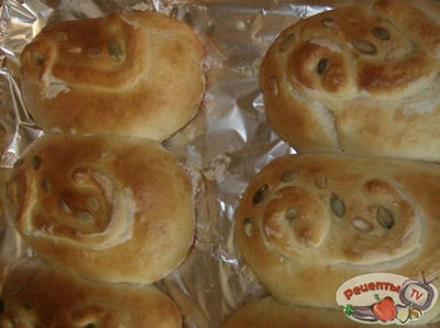 ����-�������� � �������� � �������� ��������