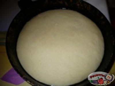 ������������ ����� ����