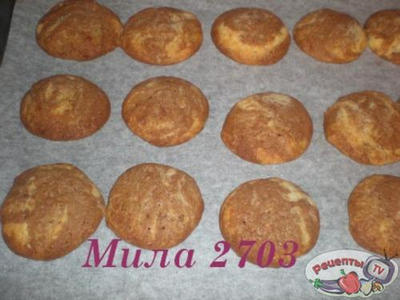 ������� ��������-����������