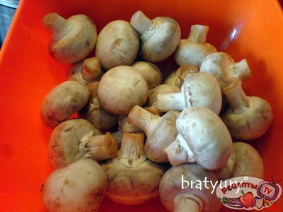 ����� � �������� ������