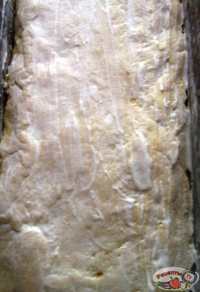 ����� � �������