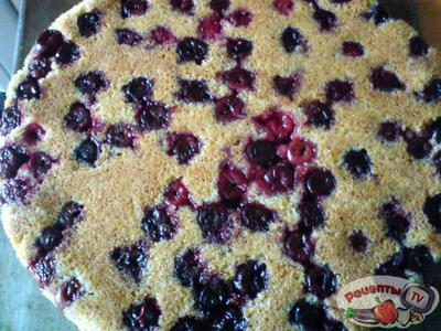 ����� ��������