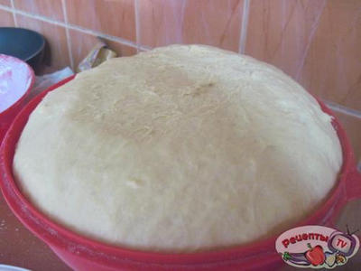 �������(�������)