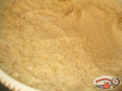 ������ ���������