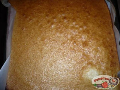 ���� &laquo;����������&raquo;