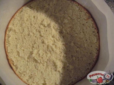 ���� &laquo;����������&raquo;