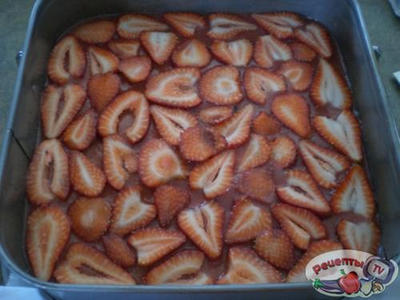 ����� ���������-��������� ����(�������)