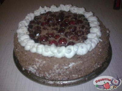 ���� ����������