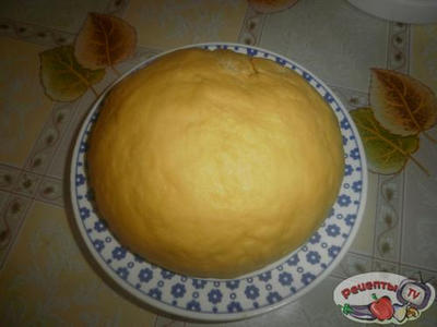 ���� ����������