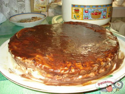 ���� ����������