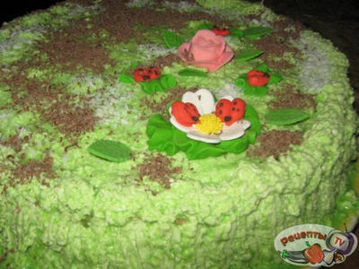 ���� �� ������� �������