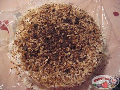 ���� � ����������� � �������� �������