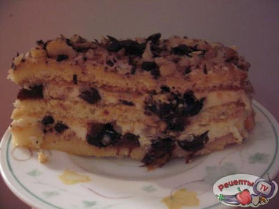 ���� � ����������� � �������� �������