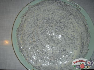 ���� ���������