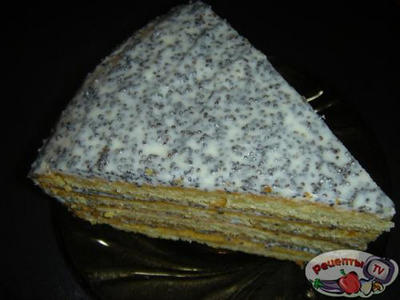 ���� ���������