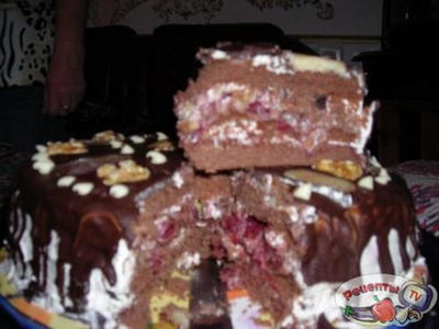 ���� �������-����������