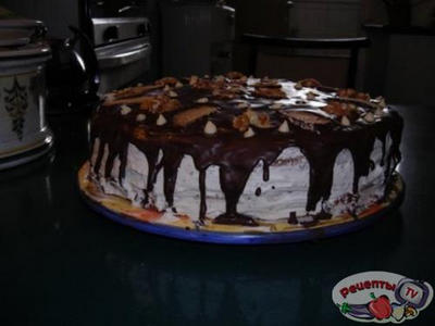 ���� �������-����������