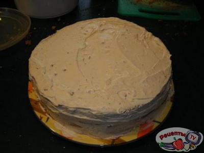 ���� �������-����������