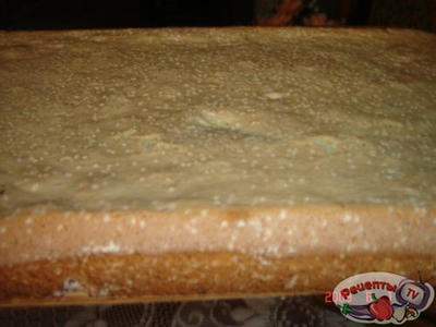 ������ ��� ���������+��� ������� �������� ��������