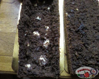 ������ ��� ������