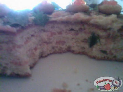 ������ ���������