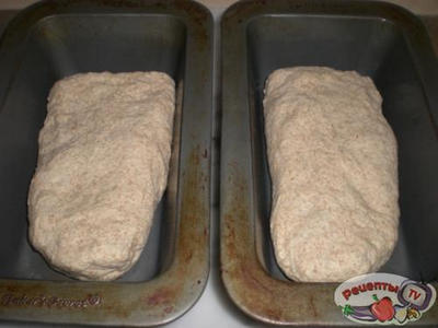 ����������� ��������� ���� �� ������� ���� ��� ��